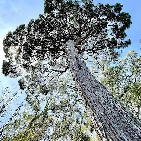 Magnifique 2p Vue Terrasse Parking